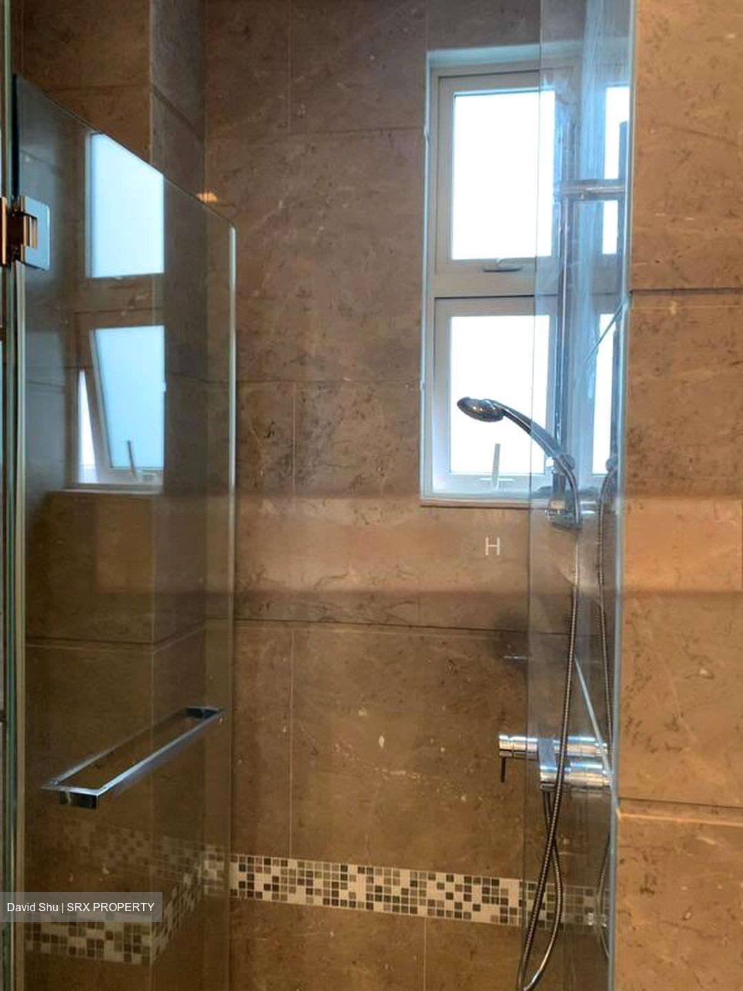 The Vision (D5), Condominium #508994861